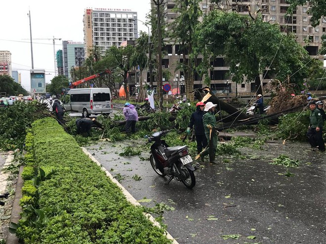 Chùm ảnh: Đường phố TP Vinh - Nghệ An tan hoang sau bão số 2 - Ảnh 8.