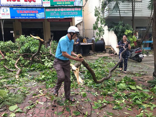 Chùm ảnh: Đường phố TP Vinh - Nghệ An tan hoang sau bão số 2 - Ảnh 9.