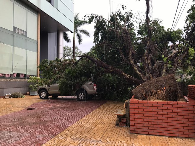 Chùm ảnh: Đường phố TP Vinh - Nghệ An tan hoang sau bão số 2 - Ảnh 6.