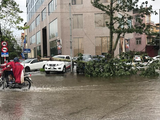 Chùm ảnh: Đường phố TP Vinh - Nghệ An tan hoang sau bão số 2 - Ảnh 12.