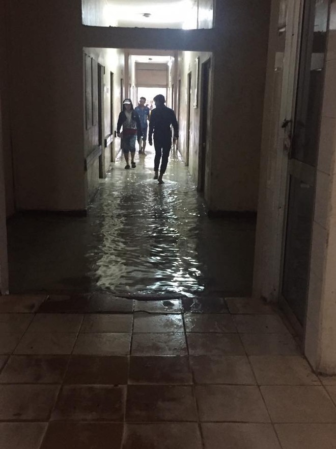 Clip: Người d&acirc;n đổ x&ocirc; ra đoạn đường ngập để bắt c&aacute; giữa t&acirc;m b&atilde;o số 4 - Ảnh 4.