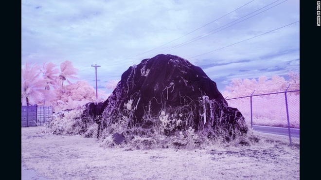 &Aacute;m ảnh đảo m&ugrave; m&agrave;u - Ảnh 2.