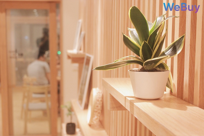 Trải nghiệm Yu Tang ở H&agrave; Nội: Thương hiệu tr&agrave; sữa mới toanh từ cha đẻ của Kichi, SumoBBQ - Ảnh 2.