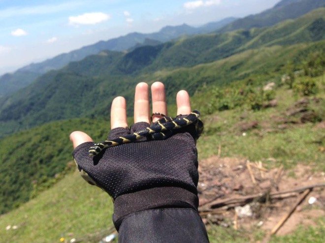 Un joven causó revuelo cuando llevó una cobra real a Ha Long y tomó una serie de fotografías "Tomándole la mano y viajando alrededor del mundo" - Foto 4.