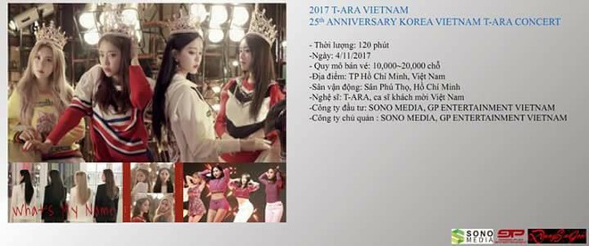 Xôn xao tin T-ara tổ chức concert tại Việt Nam vào tháng 11 - Ảnh 1.