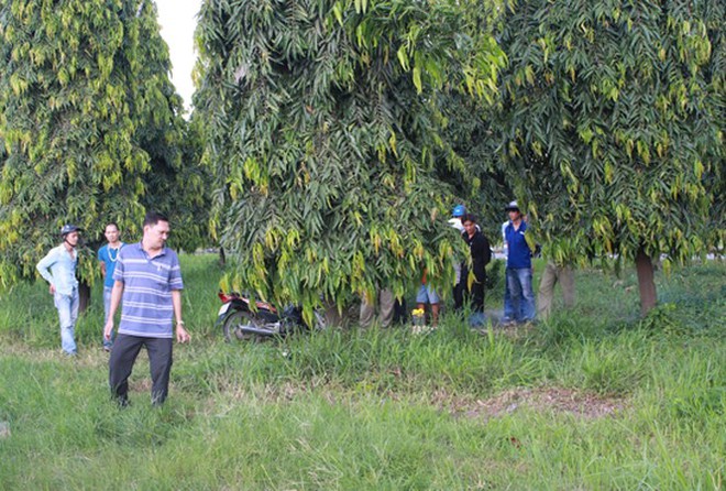 Kinh h&atilde;i ph&aacute;t hiện người phụ nữ nằm chết b&ecirc;n vệ đường - Ảnh 1.