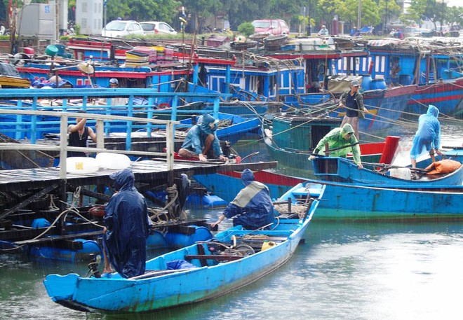 Chùm ảnh: Bão số 10 bắt đầu gây mưa, đồng loạt các tỉnh khẩn trương phòng hộ - Ảnh 23.