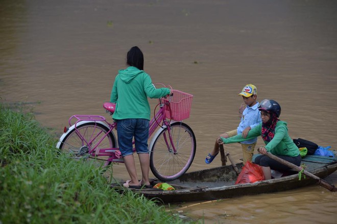 Chùm ảnh: Ninh Bình nhiều nơi nước ngập quá 2m, đường vào khu du lịch Bái Đính bị cô lập - Ảnh 20.