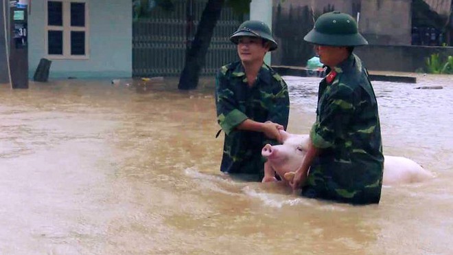 Mưa lũ hoành hành, 50 người chết và mất tích - Ảnh 9.