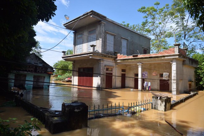 Chùm ảnh: Nhà ngập sâu đến ngang cửa, người dân Ninh Bình dùng chậu nhôm, ghế gỗ chèo thuyền đi lại trong ngõ - Ảnh 8.