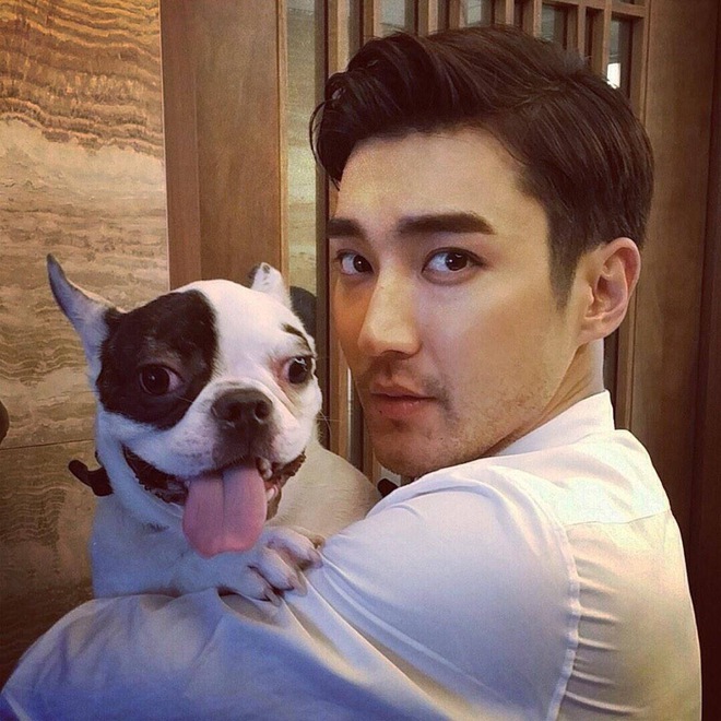 Netizen phẫn nộ vì gia đình Siwon tiếp tục thả chó, tổ chức sinh nhật cho thú cưng sau sự cố cắn CEO  - Ảnh 4.