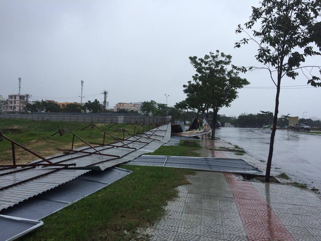 Ảnh hưởng bão số 12, Đà Nẵng đổ sập cổng chào, nhiều cây xanh bật gốc chắn ngang đường - Ảnh 5.