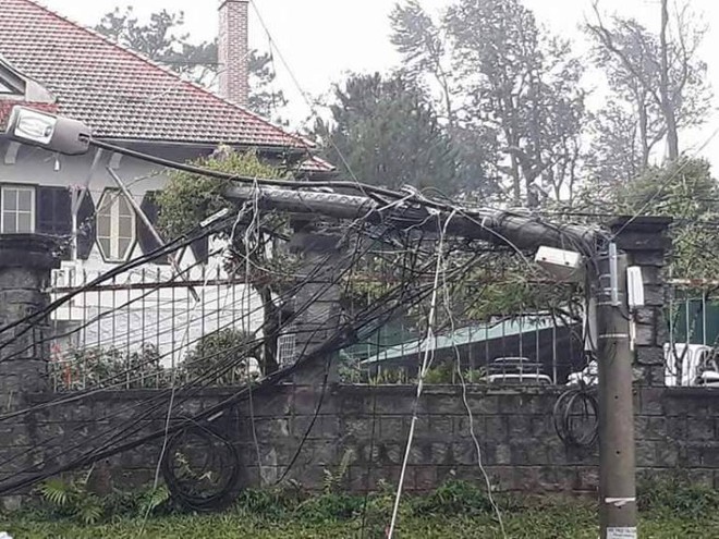 Đà Lạt: Hàng loạt cây cổ thụ ngã đổ, cột điện gãy đôi sau ảnh hưởng của cơn bão số 12 - Ảnh 7.