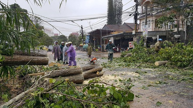 Đà Lạt: Hàng loạt cây cổ thụ ngã đổ, cột điện gãy đôi sau ảnh hưởng của cơn bão số 12 - Ảnh 4.