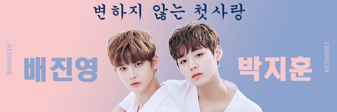 MAMA trước giờ G: Fan Wanna One và SEVENTEEN ở Việt Nam cãi nhau chí chóe giành màu sắc - Ảnh 1.