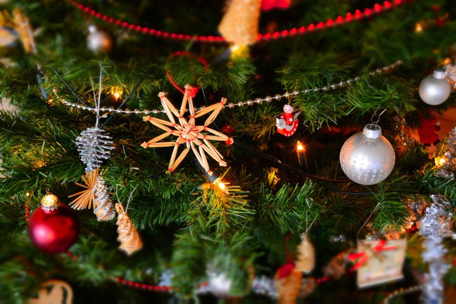 Hãy chiêm ngưỡng vẻ đẹp huyền thoại của cây thông sau đêm Giáng sinh thông qua hình ảnh đầy màu sắc và ấm áp này. Cây thông cùng đèn lấp lánh lấp lánh đã trở nên huyền ảo hơn bao giờ hết.