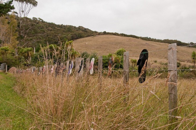 Mặc ai trang trí hoa cỏ đẹp lung linh, người New Zealand lại sử dụng đồ cũ vứt đi để làm đẹp hàng rào, kết quả lại vô cùng ấn tượng - Ảnh 8.