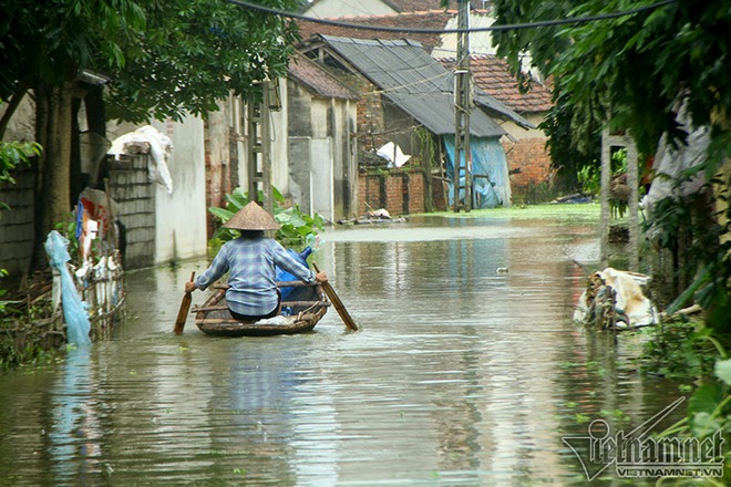 Vỡ đê Chương Mỹ: Người Hà Nội rửa bát, tắm giặt bằng nước lũ - Ảnh 16.