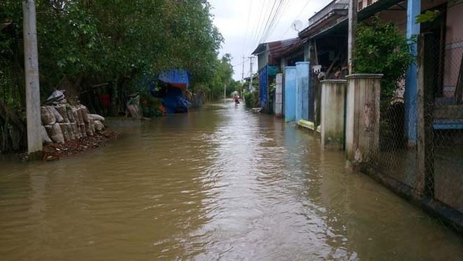 Đường phố Bình Định chìm trong biển nước, người dân dùng máy cày vượt lũ - Ảnh 4.