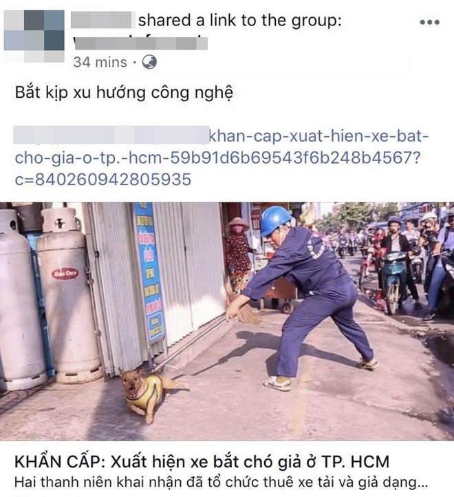 Xuất hiện thông tin bịa đặt Xe bắt chó giả ở TP HCM khiến nhiều người hoang mang - Ảnh 3.