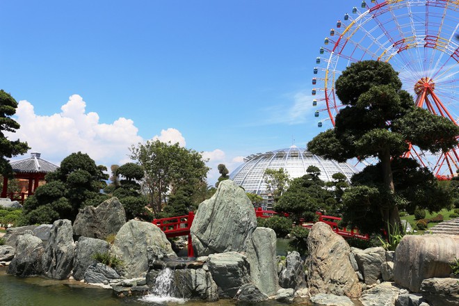 Vinpearl Land mở cửa Đồi Vạn Hoa - C&ocirc;ng vi&ecirc;n thực vật 5 ch&acirc;u độc đ&aacute;o nhất Việt Nam  - Ảnh 4.