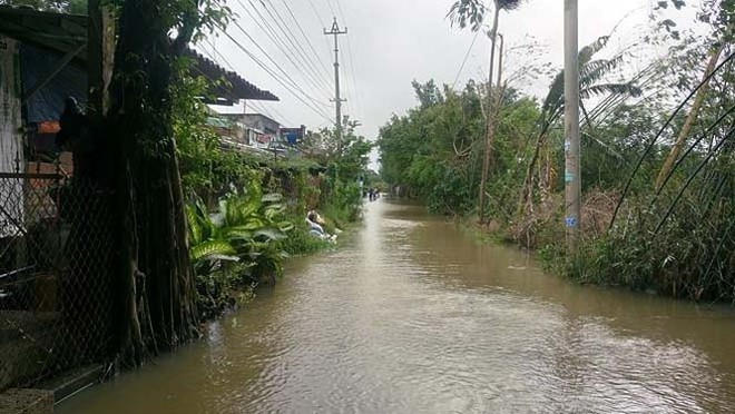 Đường phố Bình Định chìm trong biển nước, người dân dùng máy cày vượt lũ - Ảnh 5.