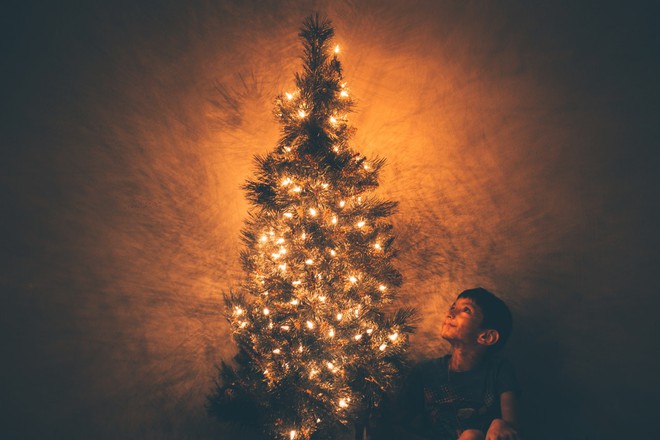 Số phận của cây thông sau đêm Giáng sinh: Bị chủ nhân thẳng tay vứt bỏ hay lại được trở về với thiên nhiên - Ảnh 4.