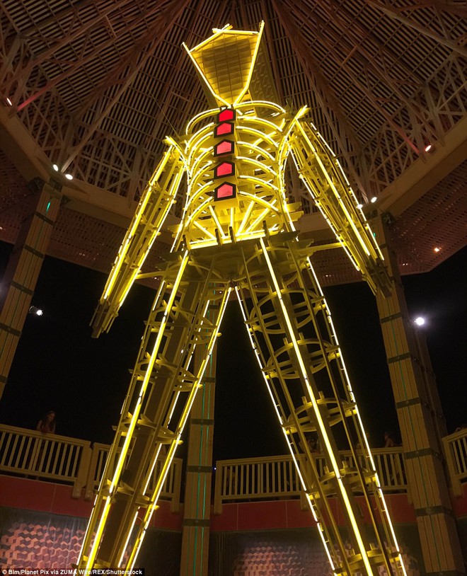 Mỹ: Du kh&aacute;ch tham gia lễ hội Burning Man kinh h&atilde;i khi thấy một người đ&agrave;n &ocirc;ng lao m&igrave;nh v&agrave;o biển lửa - Ảnh 5.