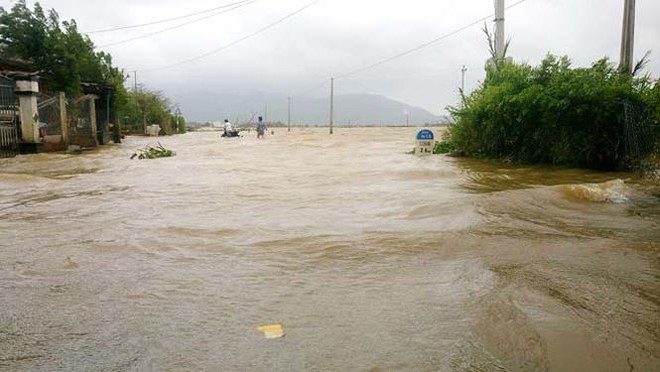 Đường phố Bình Định chìm trong biển nước, người dân dùng máy cày vượt lũ - Ảnh 6.