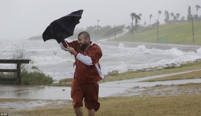 Cơn bão mạnh nhất thập kỷ đổ bộ vào Mỹ, người dân lo sợ một kịch bản tương tự Katrina xảy ra - Ảnh 9.