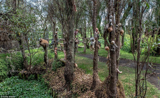 Cơn ác mộng Isla de las Munecas: Hòn đảo với hàng nghìn con búp bê kinh dị được treo lủng lẳng trên cây - Ảnh 5.