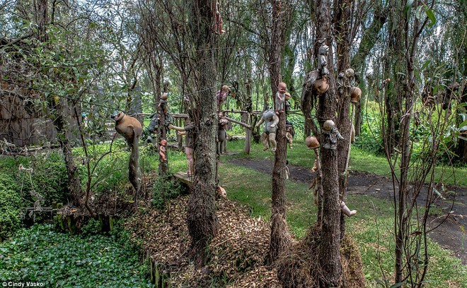 Cơn &aacute;c mộng Isla de las Munecas: H&ograve;n đảo với h&agrave;ng ngh&igrave;n con b&uacute;p b&ecirc; kinh dị được treo lủng lẳng tr&ecirc;n c&acirc;y - Ảnh 5.