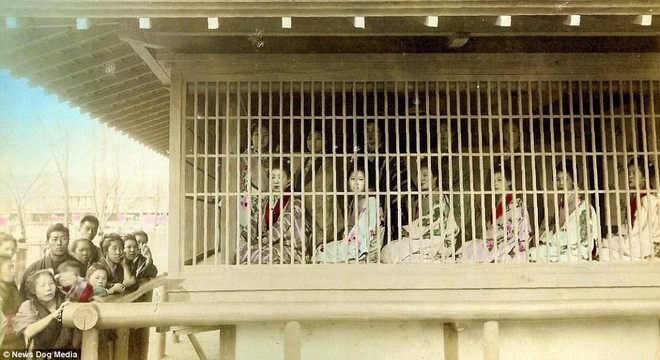 Cuộc sống của c&aacute;c c&ocirc; g&aacute;i b&aacute;n hoa Nhật Bản thời xưa, phải giam m&igrave;nh trong lồng gỗ ở khu nh&agrave; thổ rộng 81.000m2 - Ảnh 7.