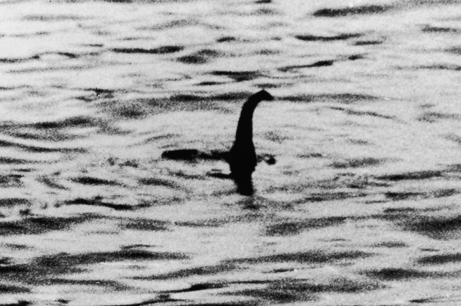 Chân dung sinh vật na ná quái vật hồ Loch Ness: Liệu đây có phải đáp án cho câu hỏi trăm năm? - Ảnh 2.