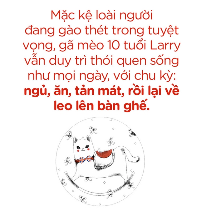 Một thập kỷ trong phủ Thủ tướng của con mèo béo vô dụng nhưng quyền lực nhất nước Anh - Ảnh 1.