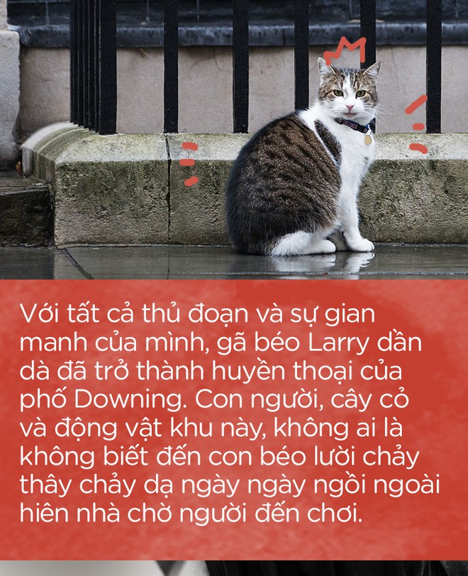 Một thập kỷ trong phủ Thủ tướng của con mèo béo vô dụng nhưng quyền lực nhất nước Anh - Ảnh 10.