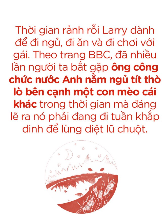 Một thập kỷ trong phủ Thủ tướng của con mèo béo vô dụng nhưng quyền lực nhất nước Anh - Ảnh 5.