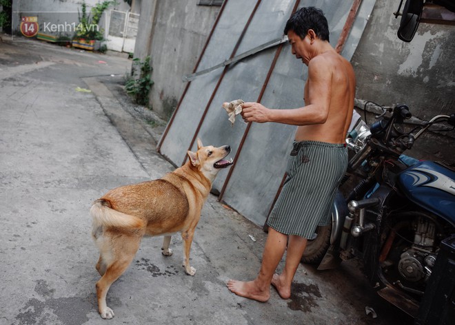 Cư d&acirc;n mạng ph&aacute;t cuồng với Gấu - ch&uacute; ch&oacute; c&aacute; t&iacute;nh nhất S&agrave;i G&ograve;n khi lu&ocirc;n xung phong x&aacute;ch đồ hộ chủ nếu kh&ocirc;ng sẽ giận dỗi bỏ ăn - Ảnh 1.