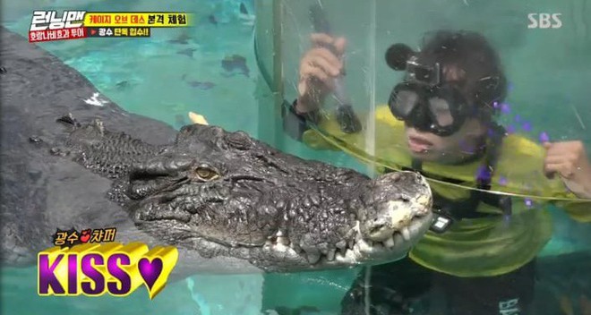Sợ hãi tột độ, Lee Kwang Soo vẫn dành cho nàng cá sấu này 1 nụ hôn! - Ảnh 8.