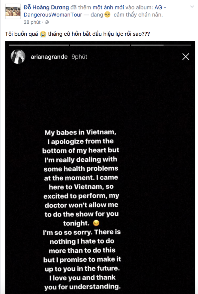 Không chỉ fan, nghệ sĩ Việt cũng sốc trước tin Ariana Grande đột ngột hủy concert trước giờ G - Ảnh 8.