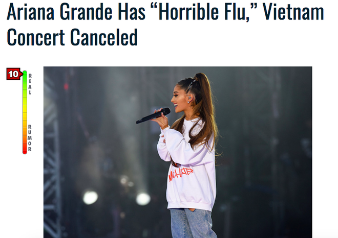 Báo nước ngoài tiết lộ Ariana Grande hủy show ở Việt Nam vì bị cúm trầm trọng - Ảnh 1.