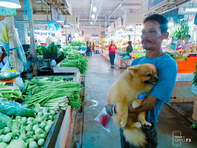 Thế giới c&#242;n bao nhi&#234;u người đ&#225;ng y&#234;u, phải đi thật nhiều th&#236; mới cảm nhận được! - Ảnh 7.