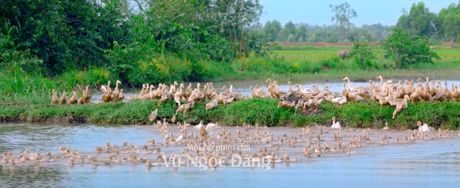 Lương Mạnh Hải m&ecirc; cờ bạc, đ&aacute;nh c&ocirc;ng an rồi lạc con trai trong phim mới của Vũ Ngọc Đ&atilde;ng - Ảnh 14.
