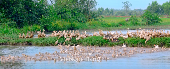 Lương Mạnh Hải mê cờ bạc, đánh công an rồi lạc con trai trong phim mới của Vũ Ngọc Đãng - Ảnh 14.