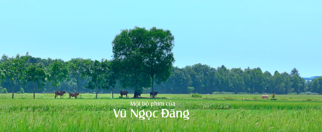 Lương Mạnh Hải m&ecirc; cờ bạc, đ&aacute;nh c&ocirc;ng an rồi lạc con trai trong phim mới của Vũ Ngọc Đ&atilde;ng - Ảnh 15.