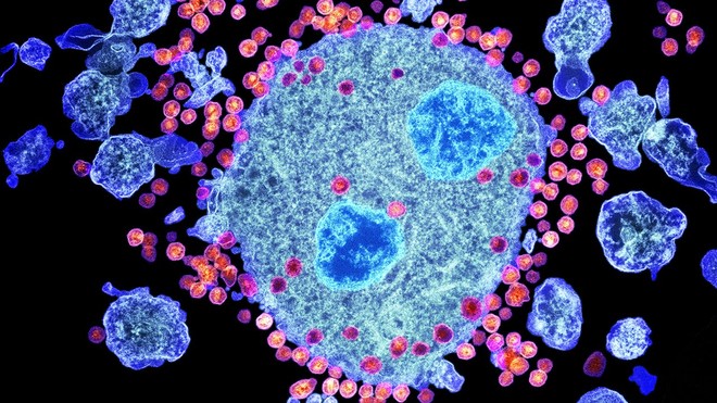 Đột phá: Phát hiện ra kháng thể mới có thể tiêu diệt 99% chủng virus HIV - Ảnh 2.