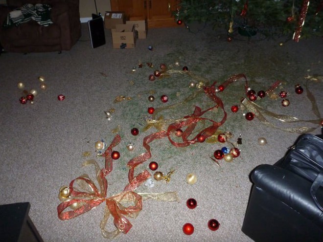 18 kiểu trang tr&iacute; c&acirc;y th&ocirc;ng độc nhất v&ocirc; nhị ch&agrave;o Noel của c&aacute;c th&aacute;nh s&aacute;ng tạo - Ảnh 21.