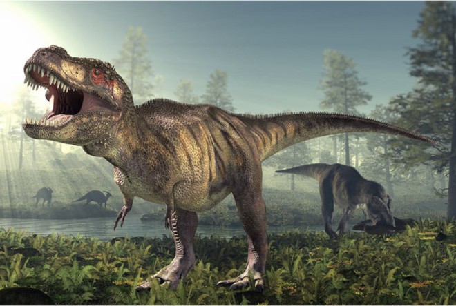 Quên huyền thoại Jurassic Park đi! Khủng long bạo chúa T-rex có ngoại hình trẻ trâu như thế này cơ - Ảnh 1.