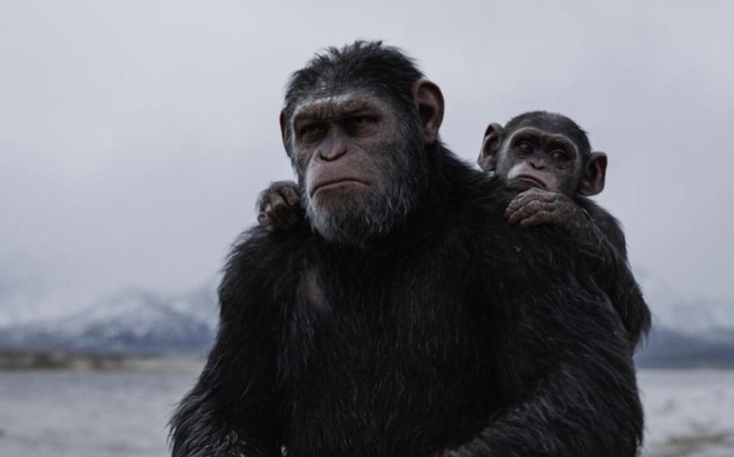 War for the Planet of the Apes - Caesar vạn tuế! - Ảnh 3.