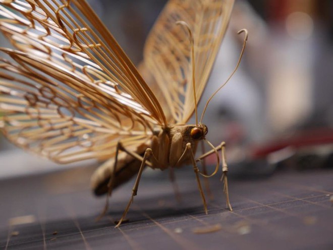 Bộ sưu tập côn trùng tre giống hệt đồ thật của nghệ nhân Nhật Bản - Ảnh 15.